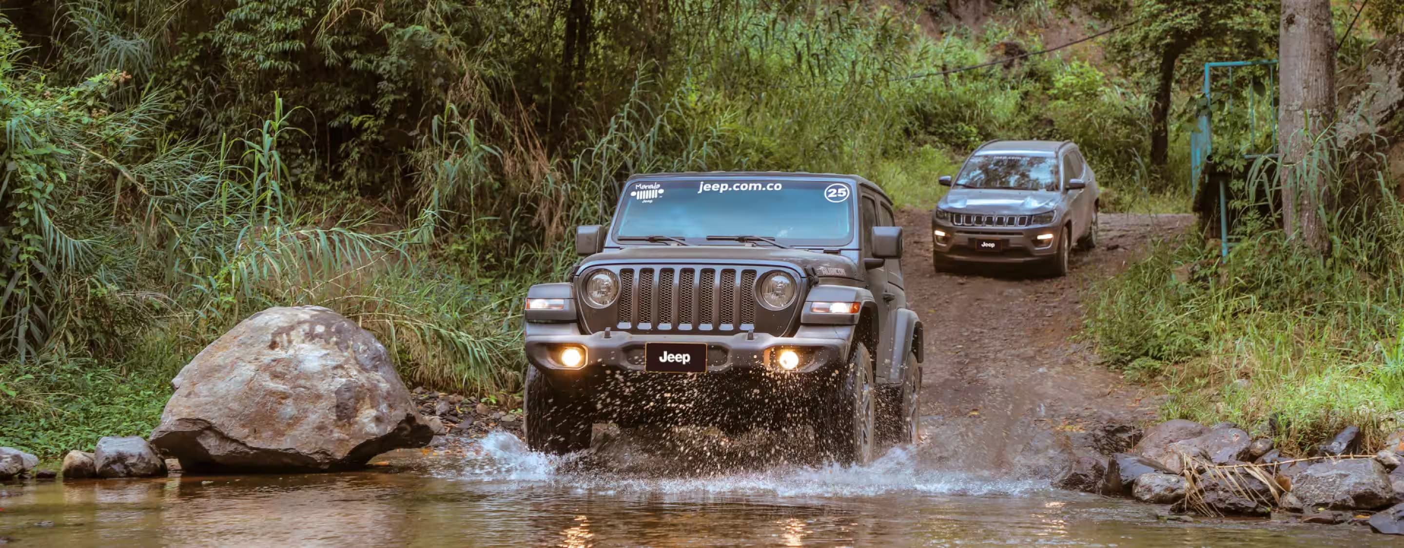 Jeep en la naturaleza